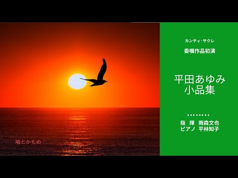 11. 鳩とかもめ「平田あゆみ小品集」より