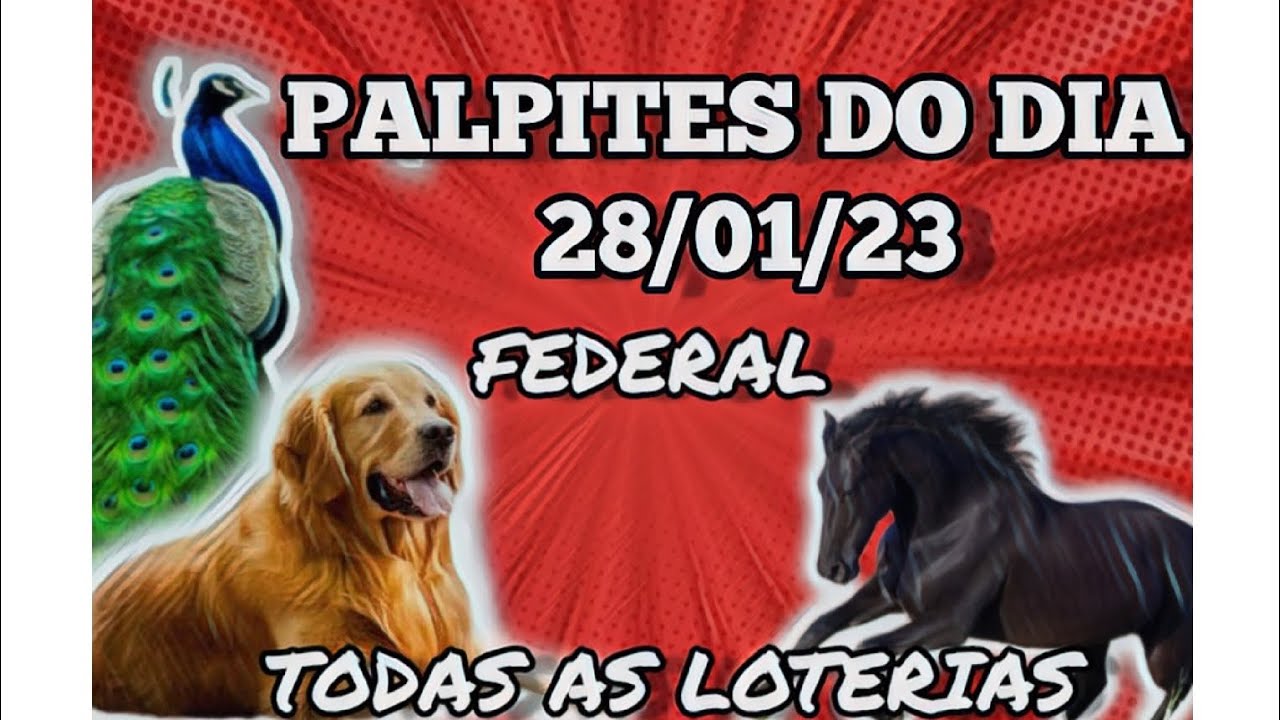 como se cadastrar na loteria online