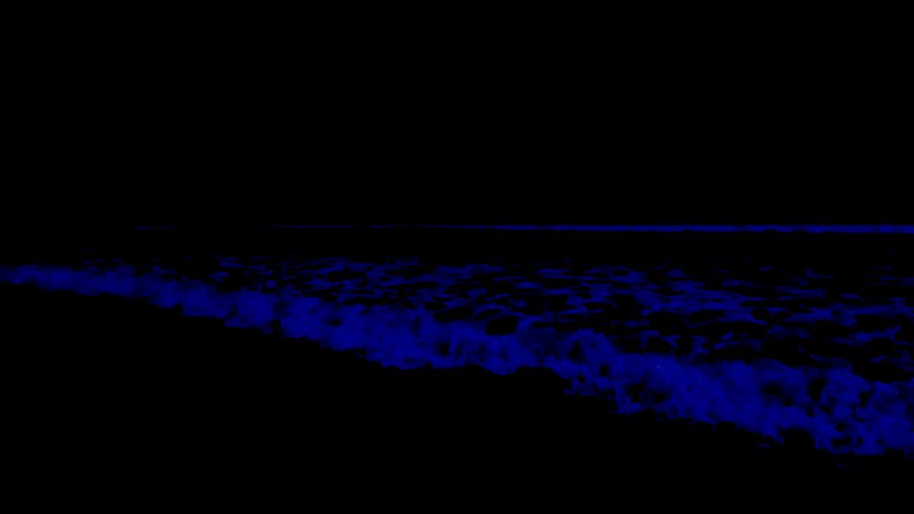 (No) Ads Deep Relaxation Music • Deep Sleep Immersion Therapy With Soothing Ocean sounds At Night