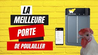 Choisissez la meilleure porte automatique de poulailler idéale en 2024 !