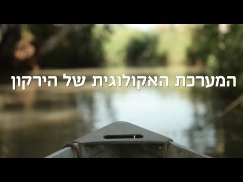 וִידֵאוֹ: מי מאורגנות מערכות אקולוגיות?