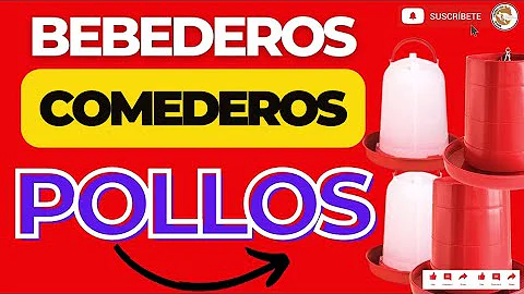 ¿Cuántos comederos se necesitan para 50 pollos?