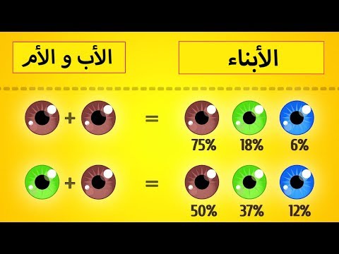 فيديو: لماذا العيون الخضراء طفرة؟