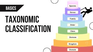 Taxonomic Classification | Basics
