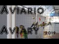 Jaulón Aviario Voladera Ninfas 2019 Aviary cage Español English Loros - Parrot