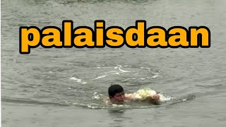 Download Lagu Swimming MP3 Download Lagu Swimming MP3