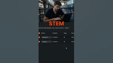 Forte Export - Grouped Prints vs Individual Prints  - Mix bounce automation for Pro Tools