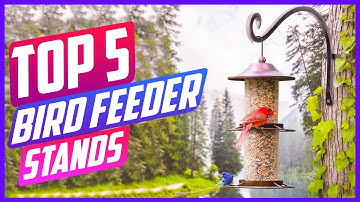 Best Bird Feeder Stands On The Market in 2022 [ TOP 5 PICKS ]