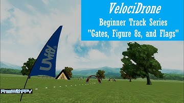 VelociDrone | Beginner Track: "Lvl 4 Gates, Figure 8s, and Flags" | Drone Practice, Day 17