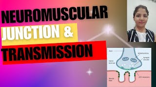 Neuromuscular Junction| Neuromuscular Transmission| Neuromuscular junction physiology in Hindi||