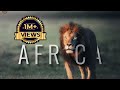 Africa  masai mara  wildlife  anirudh vidyabhushan  cinematography  4k  nikon d5  natgeowild