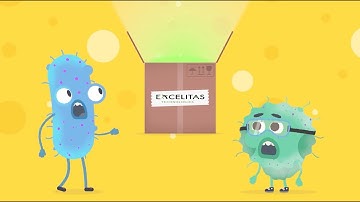 X-Cite Fluorescence Illumination: Sam and Ella’s Adventure Continues