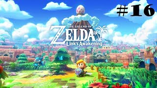 The Legend of Zelda: Link's Awakening #16 | Red or Blue?