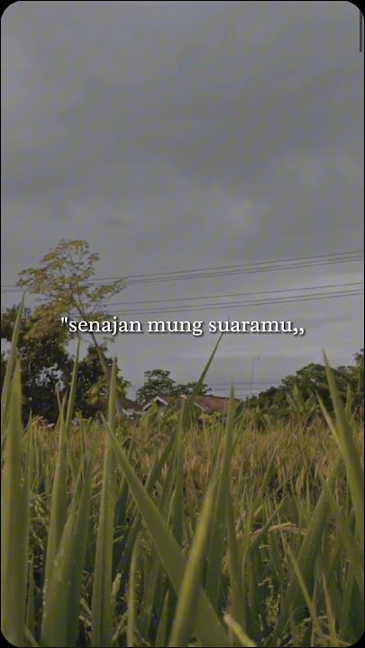 Lirik Lagu - LDR ( Langgeng Dayaning Rasa )