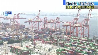 国内景気の下振れ懸念も　生産・小売りに下方修正(19/02/28)