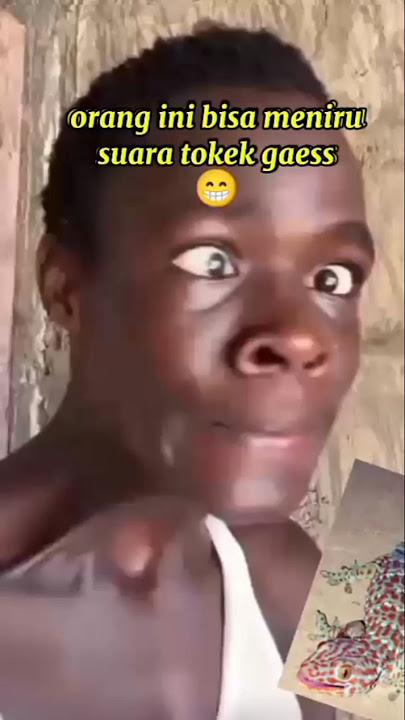 orang ini bisa tiru suara tokek bagaimana menurut kalian #lucu #rameindong #viral