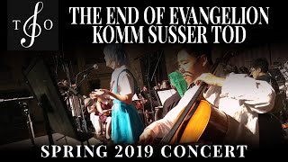 Komm, süsser Tod - The End of Evangelion || 2019 Spring Concert