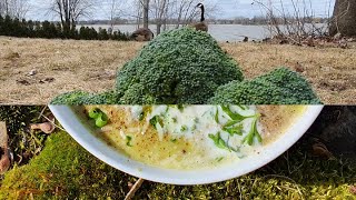 Broccoli Soup ? شوربة البروكلي الكريمية بدون كريمة #رمضانك_مع_اليوتيوبرز