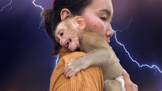 Monkey YuYu is afraid of thunder! Mom teaches YuYu how to face it!