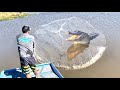 CAST NETTING THOUSANDS of FISH in a POTHOLE full of GIANT GATORS