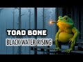Toad Bone Black Water Rising mp3