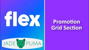 Flex Theme Promotion Grid Section