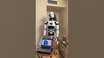 Inmoov eyes/neck tracking demo