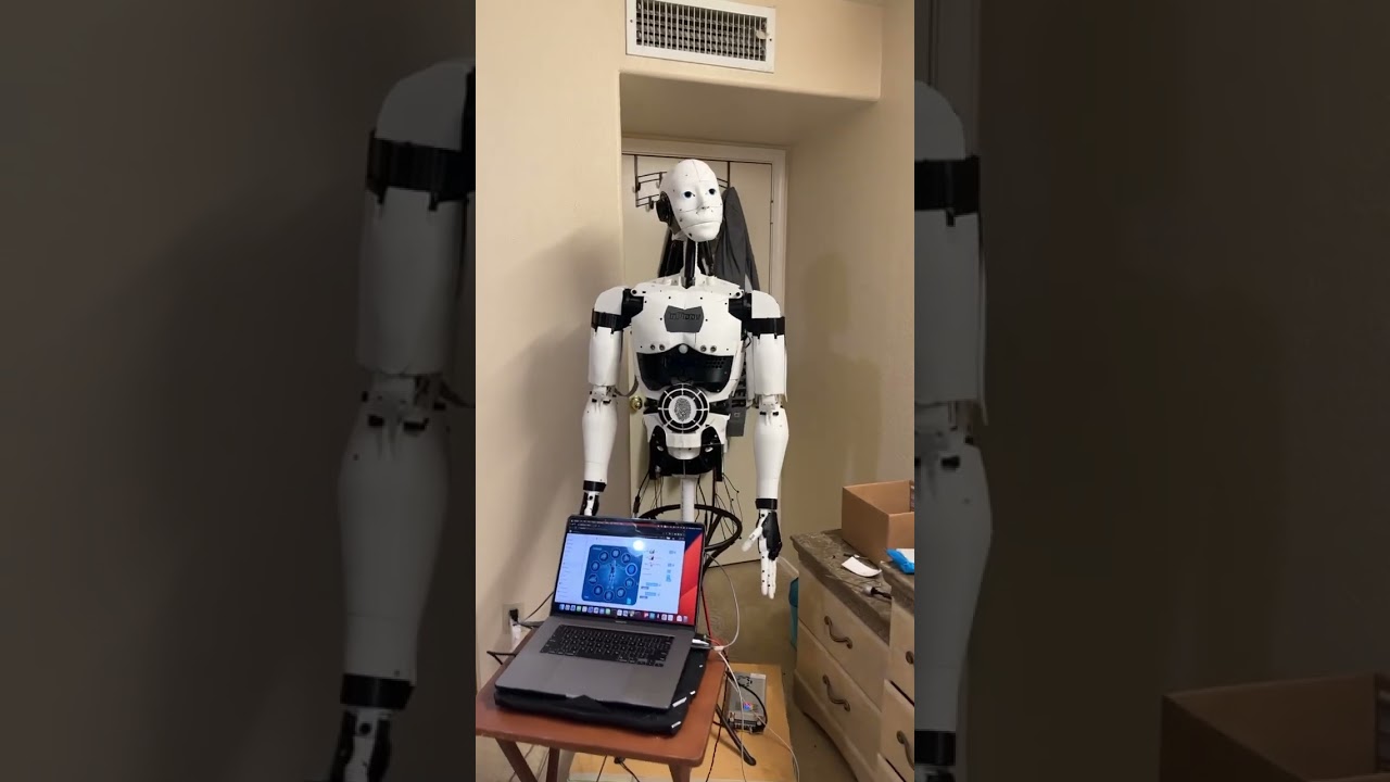 Mira Inmoov eyes/neck tracking demo en YouTube Mira Inmoov eyes/neck tracking demo en YouTube