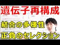【大学・薬学部の免疫学】抗体とTCRの多様性獲得機構と遺伝子再構成(ポジティブセレクション、ネガティブセレクション、受容体編集)【ジェイズ/J'z Channel】