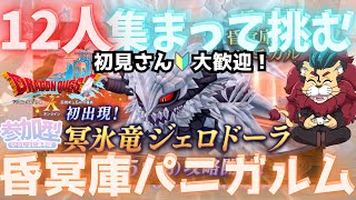 【ドラクエ10】昏冥庫パニガルム出現！冥氷竜ジェロドーラと一緒に戦おう o(^▽^)o『DQ10　DQX　ドラゴンクエスト１０』新人Vtuber プレイヤーイベント