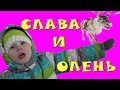 ВЛОГ Катаемся на северных ОЛЕНЯХ! Видео для детей