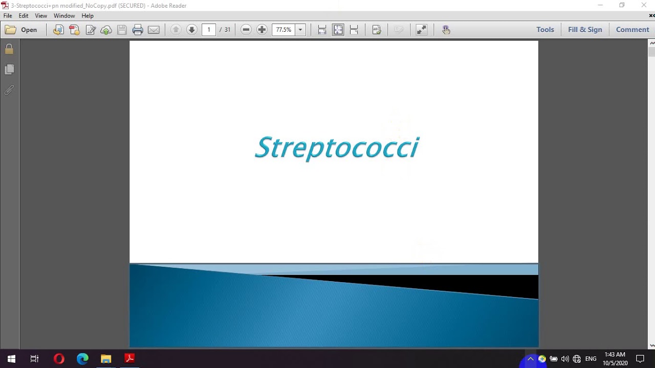 Section 2: Streptococci