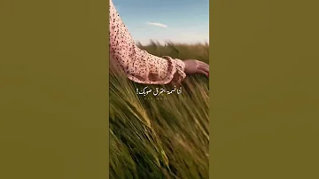 إليسا حالات واتس اب أنا ضحكة ع شفافك 
