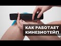 Как работает кинезиотейп | Физиологическое обоснование механизма действия кинезиотейпирования | Тейп