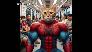 multiverse spiderman cat 🪐🪐🌎🌎#xuhuong #cat