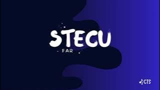 STECU STECU - Faris Adam - VIRAL TIKTOK