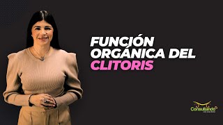 Función orgánica del clitoris