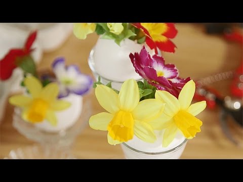 Video: Munankuoritaimet lapsille – Opi kasvien kasvattamisesta munankuoressa