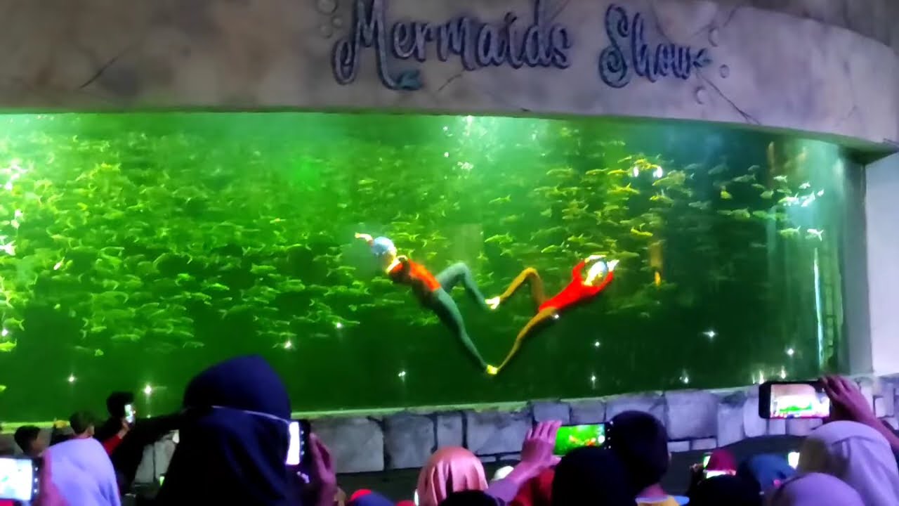 Mermaid Ancol I Putri duyung