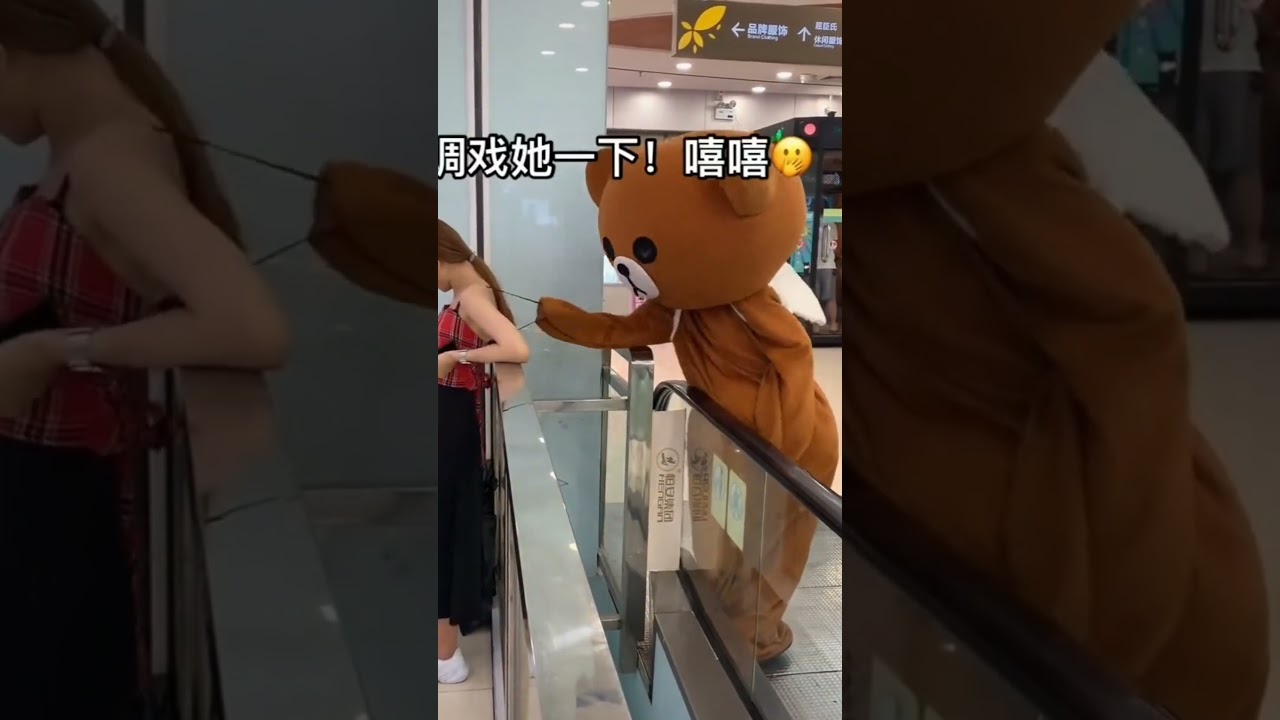 bear brown funny moments