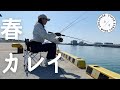 【宮城県】カレイを釣りたくて漁港にきました。 の動画、YouTube動画。
