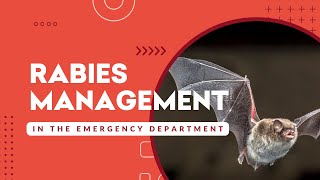 Rabies Management in the ED