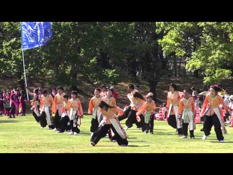 HADANO乱舞「翔」（あっぱれ富士2014）