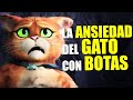 La Ansiedad del Gato Con Botas En El Último Deseo | Una Obra Maestra (Escenas Nuevas)