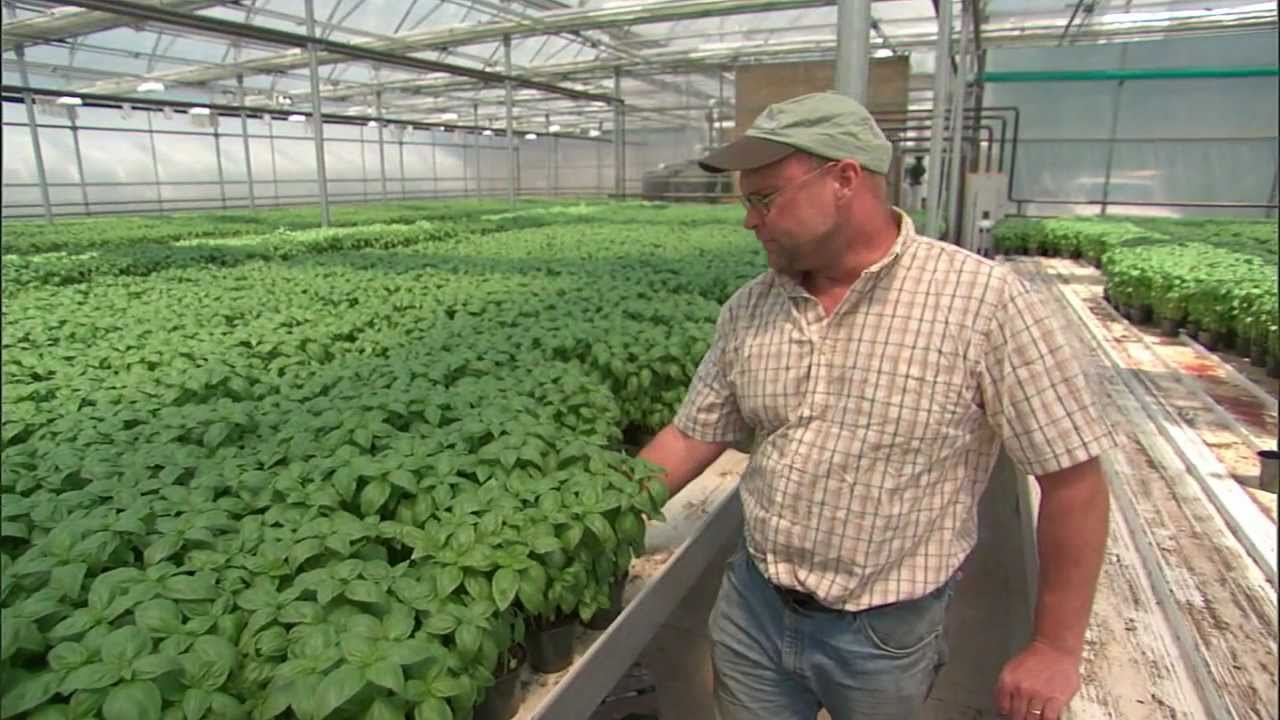 Big Y World Class Market: Happy Valley Organics