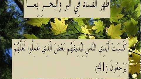 القران الكريم سورة الروم الأية 41.wmv