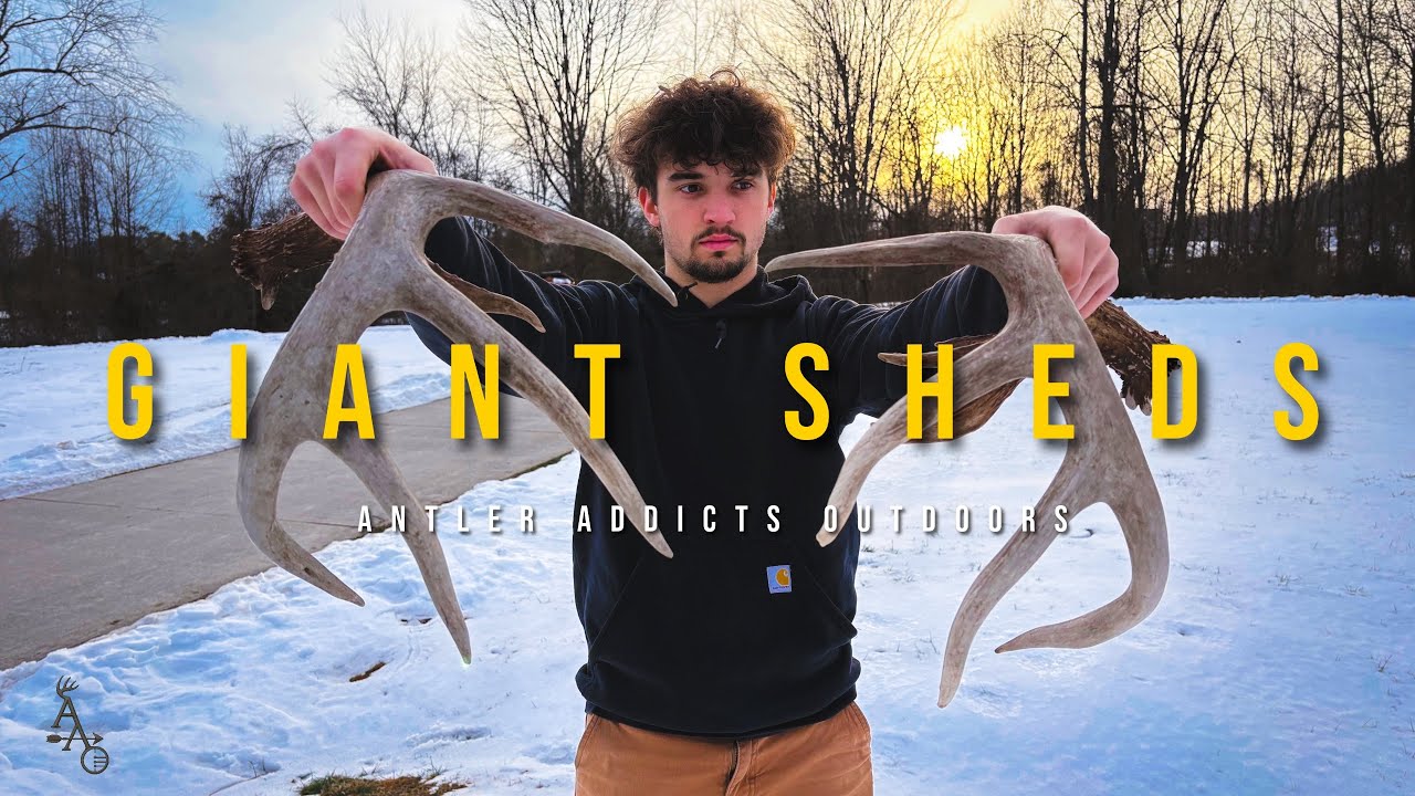 Giant Ohio public land match set // shed hunting 2026 episode 1
