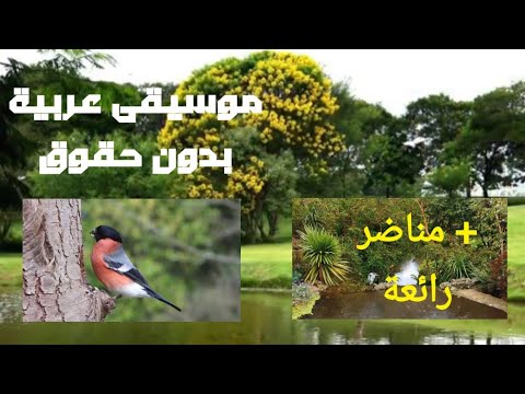 موسيقى عربية هادئة بدون حقوق نشر للمونتاح مناضر طبيعية رأئعة