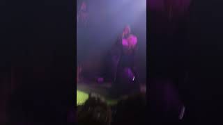 Spectrum  - goldlink