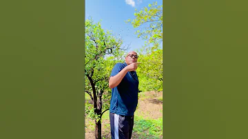 Sababa Barabade Rabbi Irra Hiin Fagaatin 